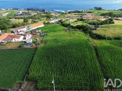 Vente Terrain LAJES-DO-PICO 9930