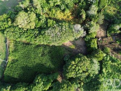 Vente Terrain LAJES-DO-PICO 9930