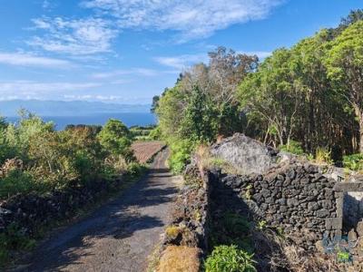 Vente Maison LAJES-DO-PICO 9930