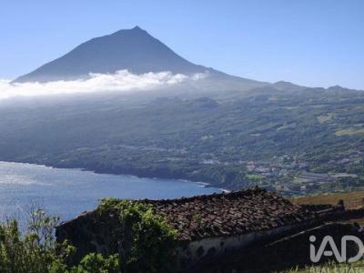 Vente Terrain LAJES-DO-PICO 9930