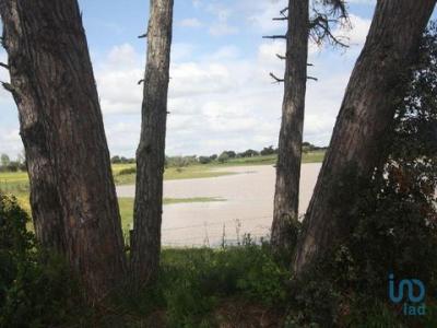 Vente Terrain LANDEIRA 2965