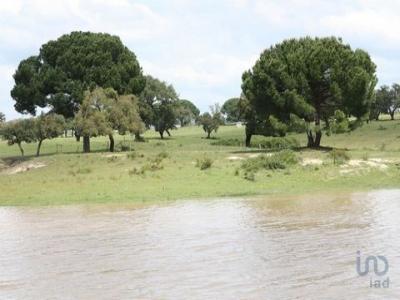 Vente Terrain LANDEIRA 2965