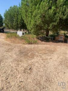 Vente Terrain LANDEIRA 2965