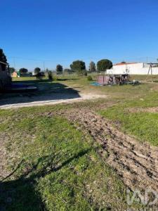Vente Terrain LANDEIRA 2965