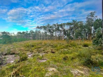 Vente Terrain LEIRIA 2400