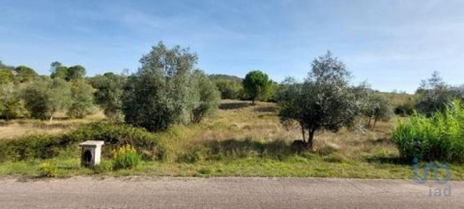 Vente Terrain LEIRIA 2420