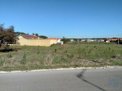 Vente Terrain LEIRIA 2400