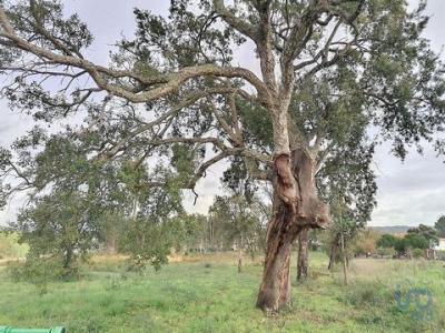 Vente Terrain LEIRIA 2400