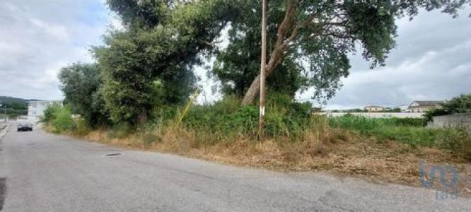 Vente Terrain LEIRIA 2415