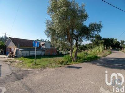 Vente Terrain LEIRIA 2400