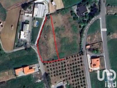 Vente Terrain LEIRIA 2400