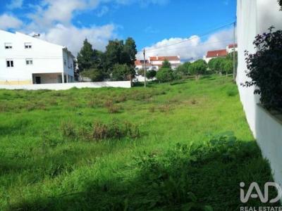 Vente Terrain LEIRIA 2400