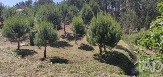 Vente Terrain LEIRIA 2400