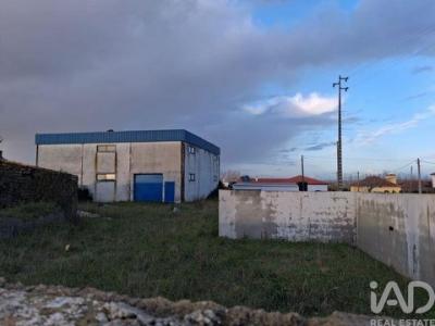 Location Local industriel LEIRIA 2400