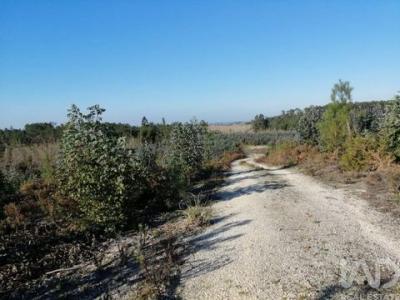 Vente Terrain LEIRIA 2400