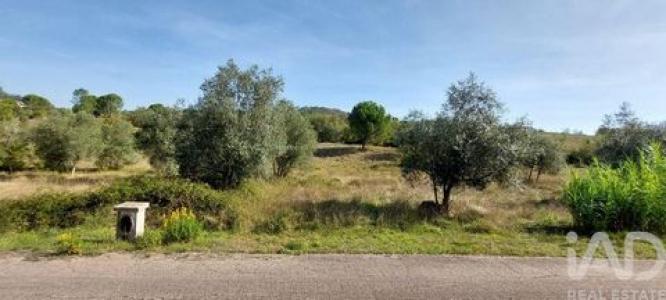 Vente Terrain LEIRIA 2400