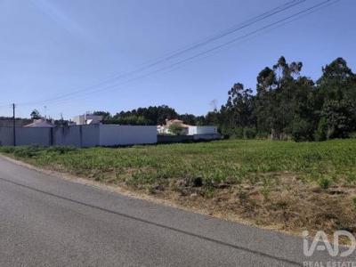 Vente Terrain LEIRIA 2400