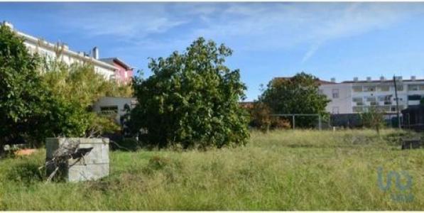 Vente Terrain LISBOA 1000