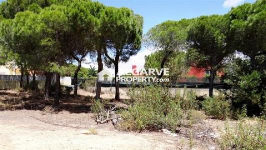 Vente Terrain LOULE 8100