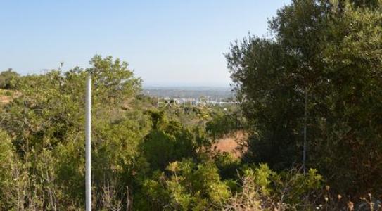 Vente Terrain LOULE 8100