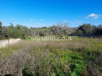 Vente Terrain LOULE 8100