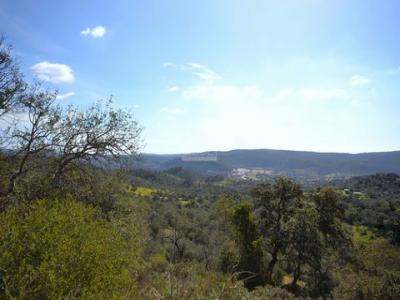 Vente Maison 2 pices LOULE 8100