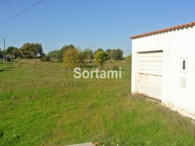 Vente Terrain LOULE 8100