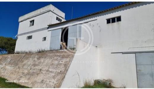 Vente Local industriel LOULE 8100