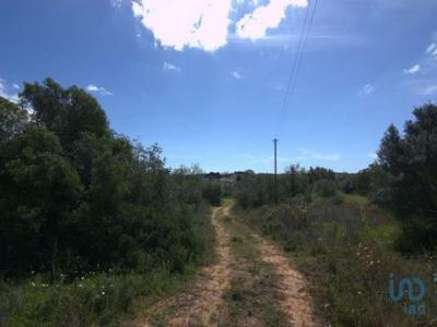 Vente Terrain LOULE 8100