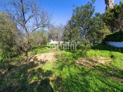Vente Terrain LOULE 8100