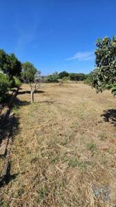 Vente Terrain LOULE 8100