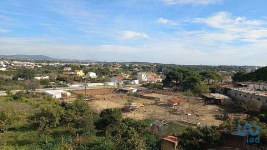 Vente Terrain LOULE 8100