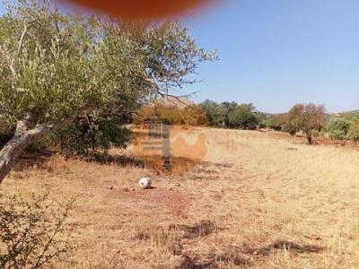 Vente Terrain LOULE 8100