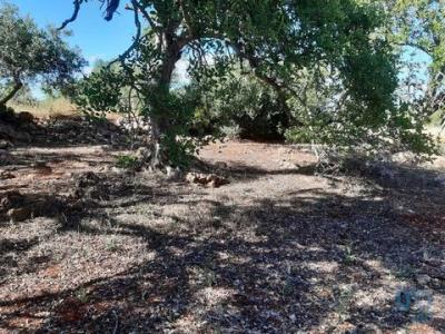 Vente Terrain LOULE 8100