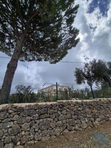 Vente Terrain LOULE 8100