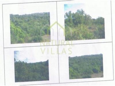 Vente Terrain LOULE 8100