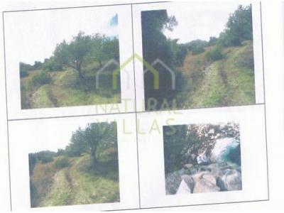 Vente Terrain LOULE 8100
