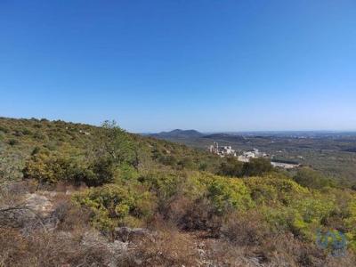 Vente Terrain LOULE 8100