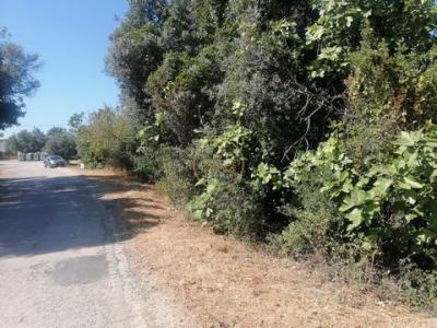 Vente Terrain LOULE 8100