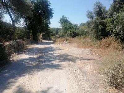 Vente Terrain LOULE 8100