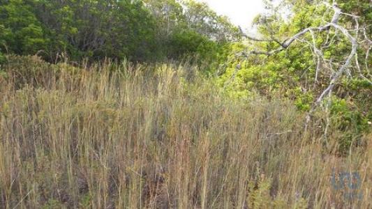 Vente Terrain LOULE 8100