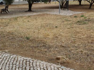 Vente Terrain LOULE 8100