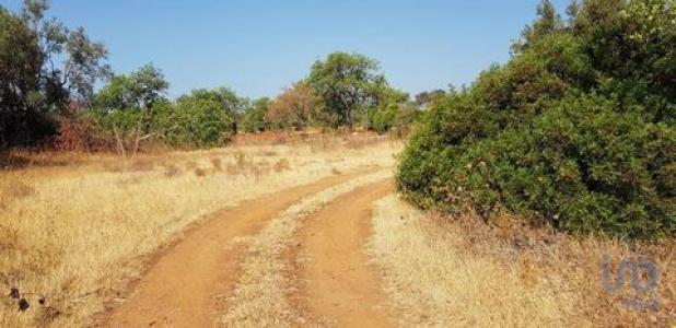 Vente Terrain LOULE 8100