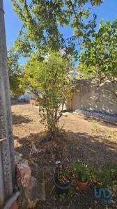 Vente Terrain LOULE 8100