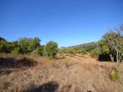 Vente Terrain LOULE 8100