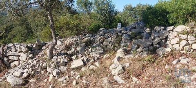 Vente Terrain LOULE 8100