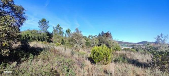 Vente Terrain LOULE 8100