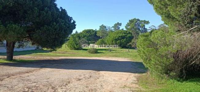 Vente Terrain LOULE 8100