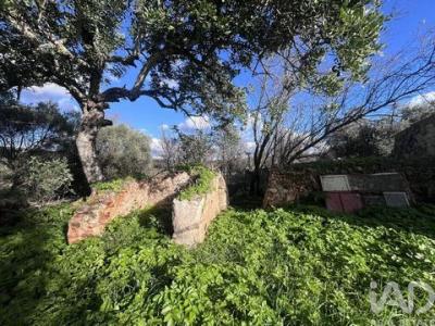 Vente Terrain LOULE 8100