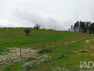 Vente Terrain LOULE 8100